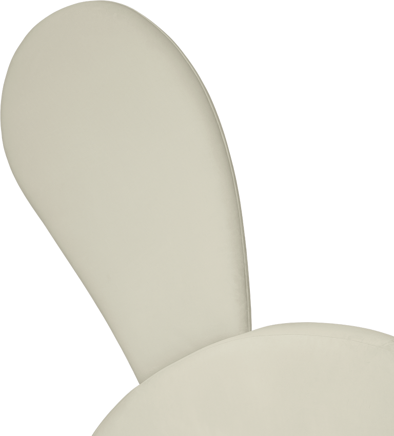 Mr. Bunny circu magical furniture kids beds