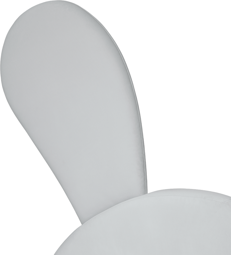 Mr. Bunny circu magical furniture kids beds