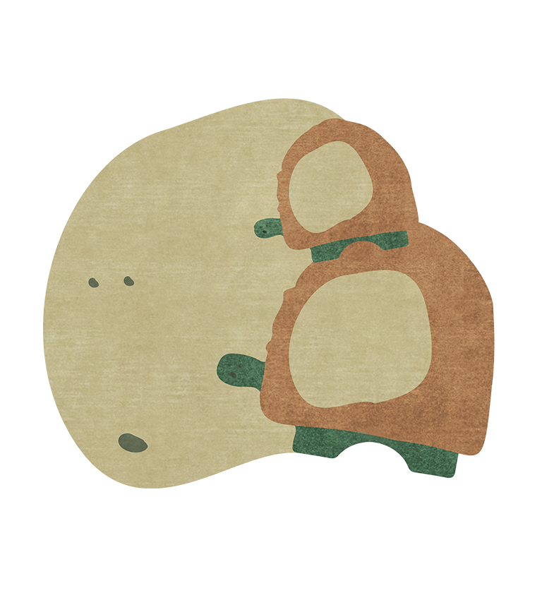 Turtle Shell circu magical furniture kids rugs